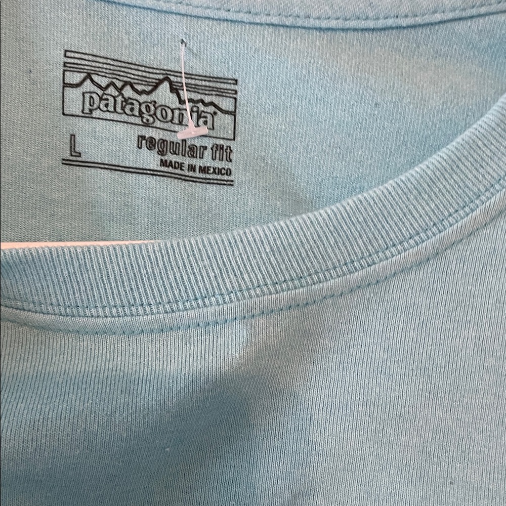 Patagonia women’s Teal Mountain Graphic Tee - Picture 2 of 2